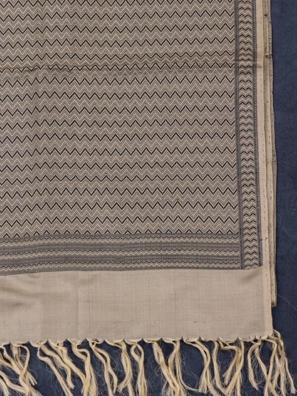 Handwoven Banarasi Katan Jamewar Dupatta by Adrika